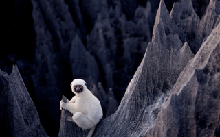 Illustration for article titled The bizarre limestone spires of Madagascar